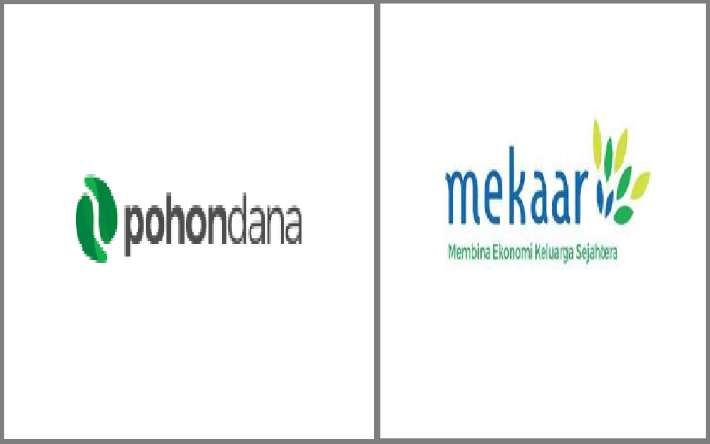 Solusi Pinjaman Cepat: Bandingkan Aplikasi Pohondana dan Mekar, Pilih yang Terbaik!